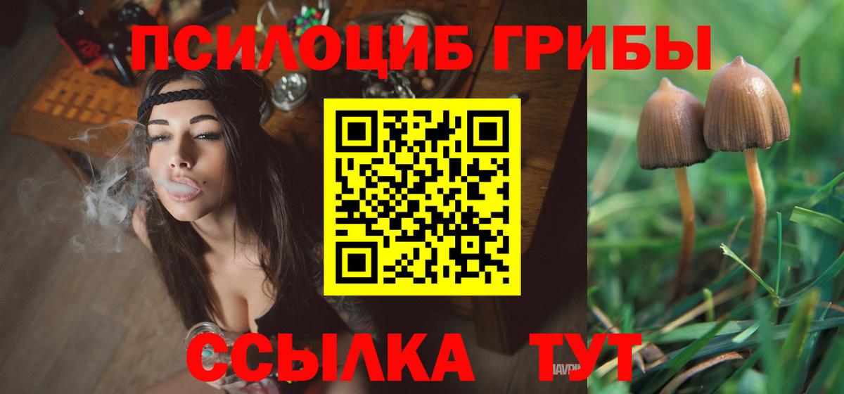 Галлюциногенные грибы MAGIC MUSHROOMS Великий Устюг
